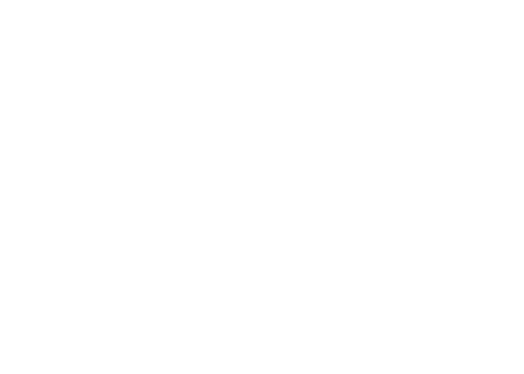 Falco Peregrinus